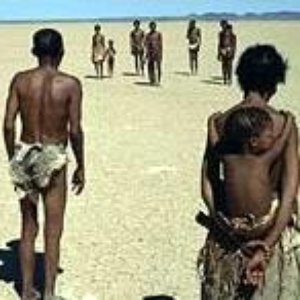Bushmen 的头像