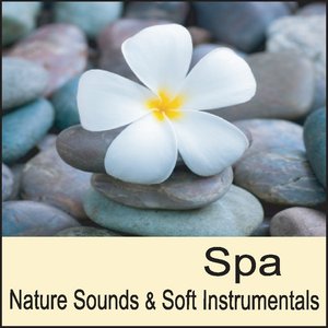 Spa: Nature Sounds & Soft Instrumental Music for Massage, Massage Music for Spa Music, Healing Music