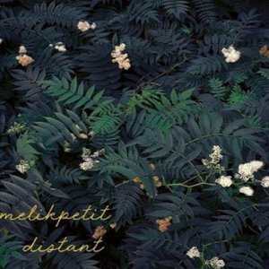 Distant