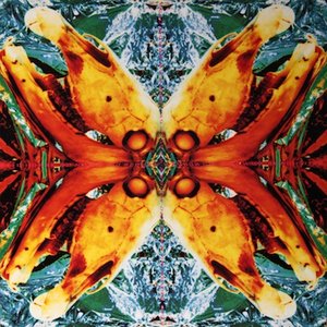 Acid Horse - No Name No Slogan - Zortam Music