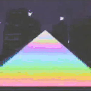 Nobody Here
