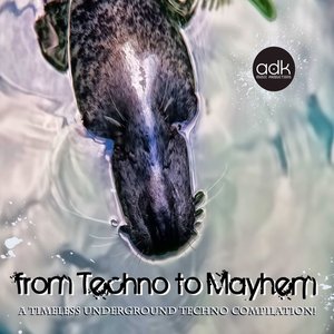 From Techno to Mayhem (A Timeless Underground Techno Compilation)