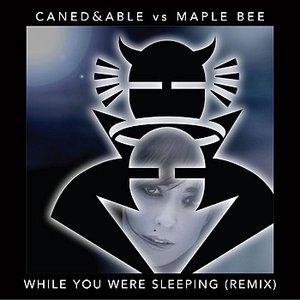 While You Were Sleeping Remix