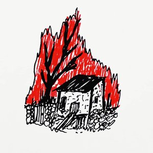 Candle Tree 的头像