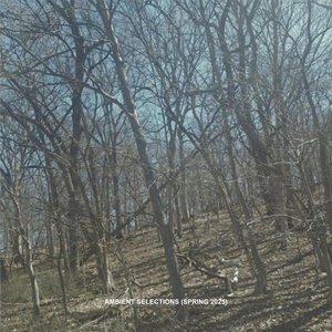 AMBIENT SELECTIONS (SPRING 2025)