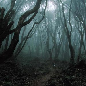 The Underground