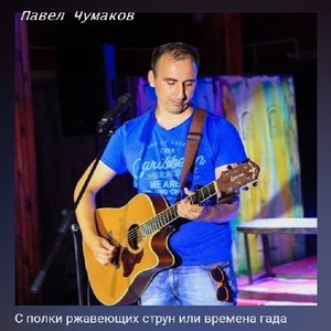 С полки ржавеющих струн или времена гада