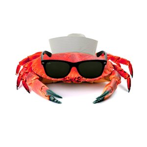 Avatar for Капитан Краб