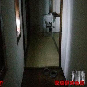 ༎ຶོρ༎ຶོ