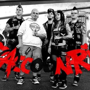“Raccoon Riot”的封面