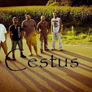 Cestus のアバター