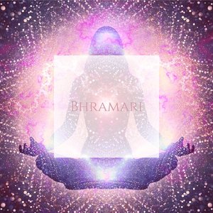 Transcendental - Single