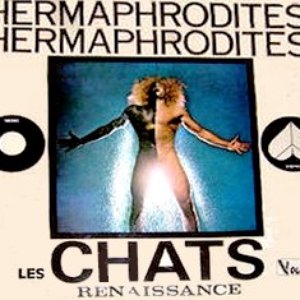 Les Chats için avatar