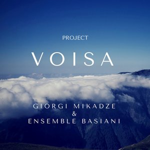 Voisa
