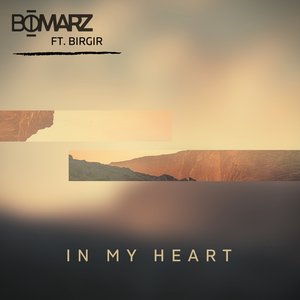In My Heart (feat. Birgir) - Single