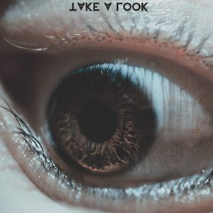 Image for 'Take A Look'
