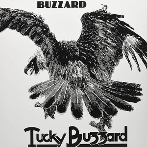 Buzzard