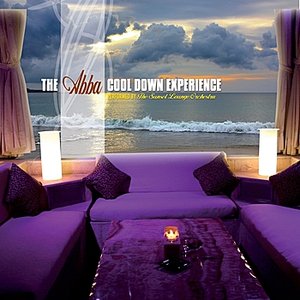 The ABBA Cool Down Experience