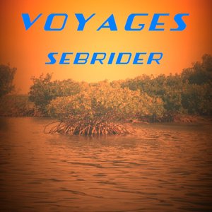 Voyages