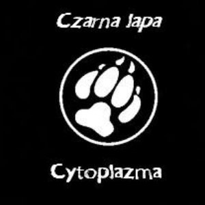 Zdjęcia dla 'Czarna lapa'