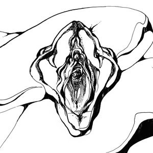 Mamba Negra 的头像