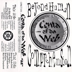 Beyond Human Comprehension