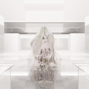 Polymer Veil