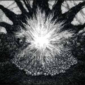 Sonic Desterilization Of Light