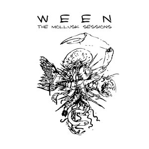 The Mollusk Sessions