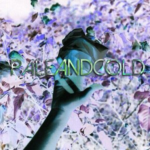 paleandcold 的头像