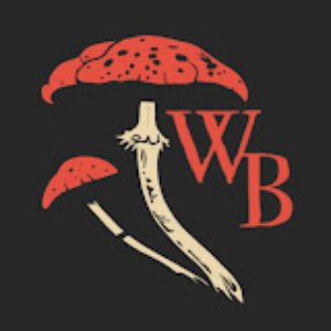 Witch Bolt 的头像