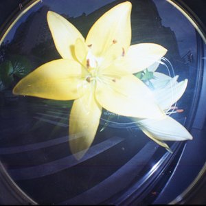 POLLEN