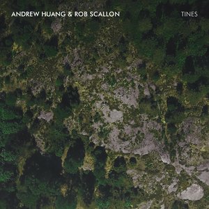 Tines - Single