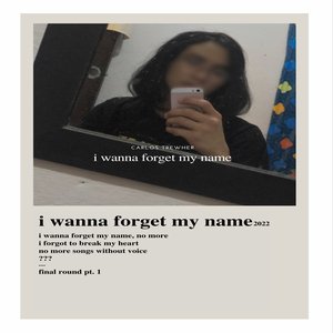 i wanna forget my name (Deluxe)