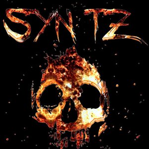“Syn TZ”的封面