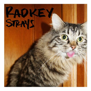 Artwork for Strays