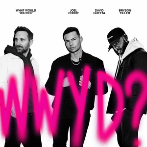 Artwork for What Would You Do?