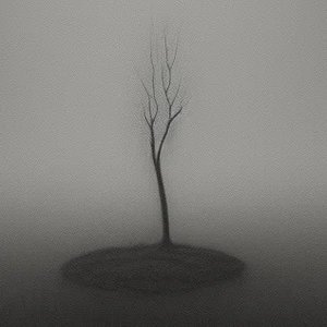 The Desolation of the Present 的头像