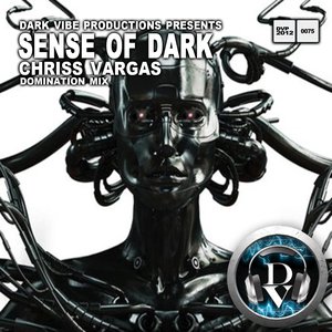 Sense of Dark (Domination Mix)