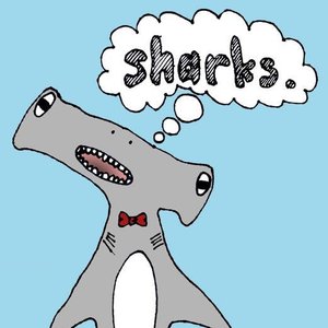 Sharks. 的头像