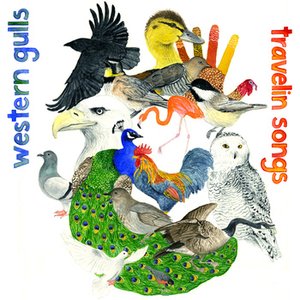 Western Gulls 的头像