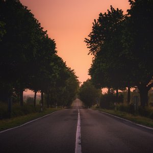 World Race: Ring of Fire