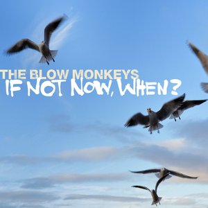 If Not Now When