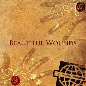 Изображение для 'Beautiful Wounds'