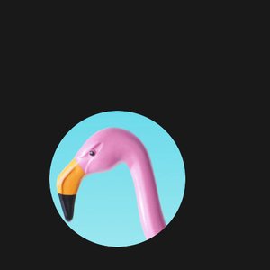Avatar for James Flamingo