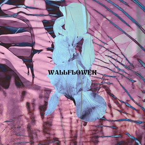 Wallflower