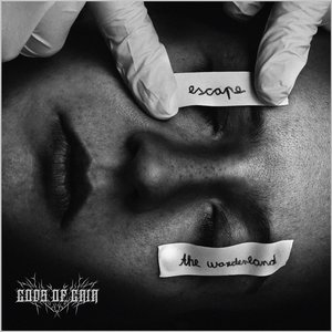 Escape the Wonderland