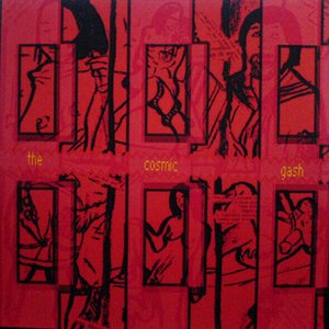 The Cosmic Gash