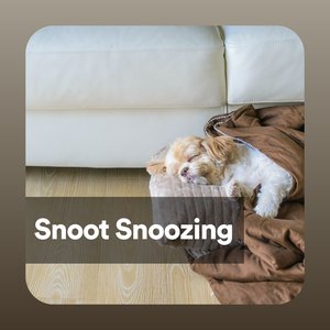 “Snoot Snoozing”的封面