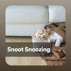 Image for 'Snoot Snoozing'